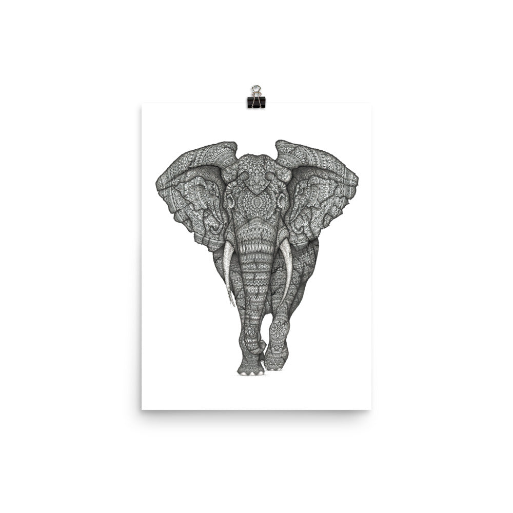 Three Elephant Poster - Premium